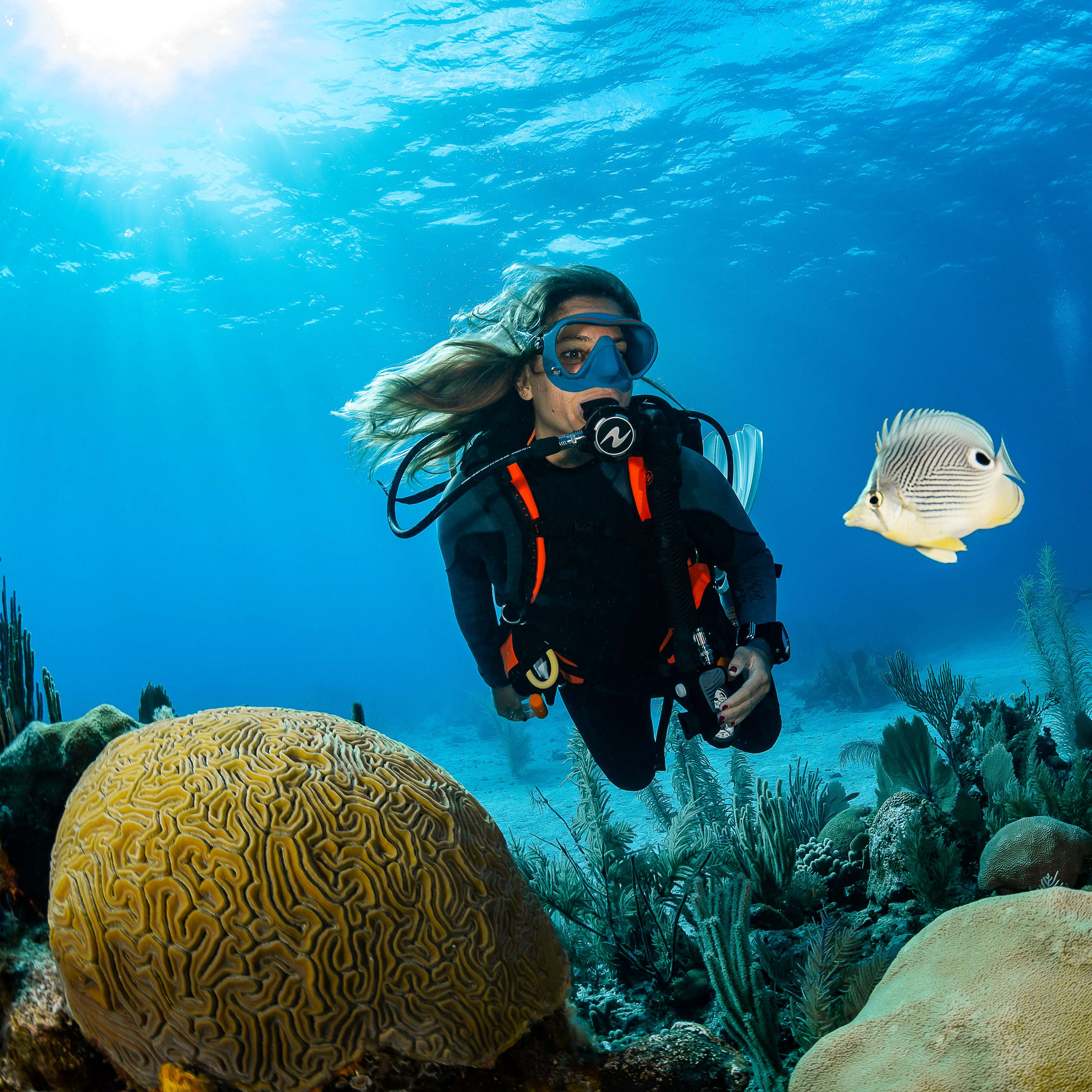 Aqualung Helix Pro Dive Regulator - Image 15