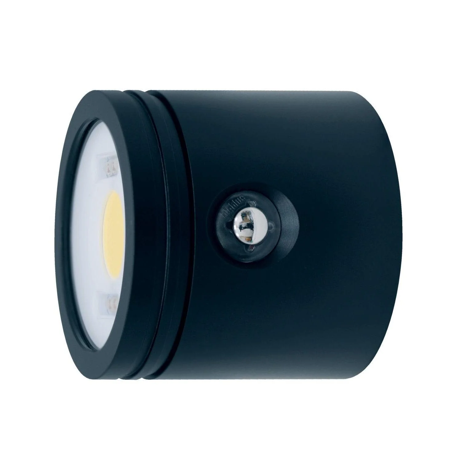 BigBlue Light Head for CB6500P
