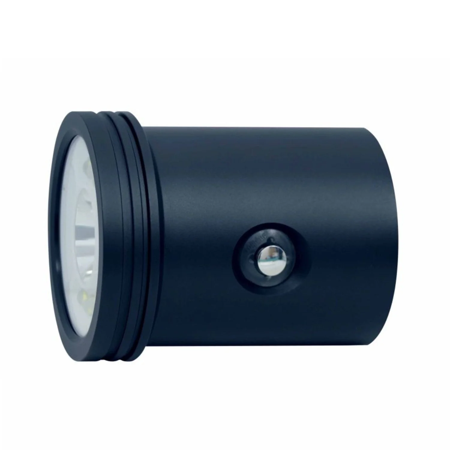 BigBlue Light Head for VTL8000P-MAX