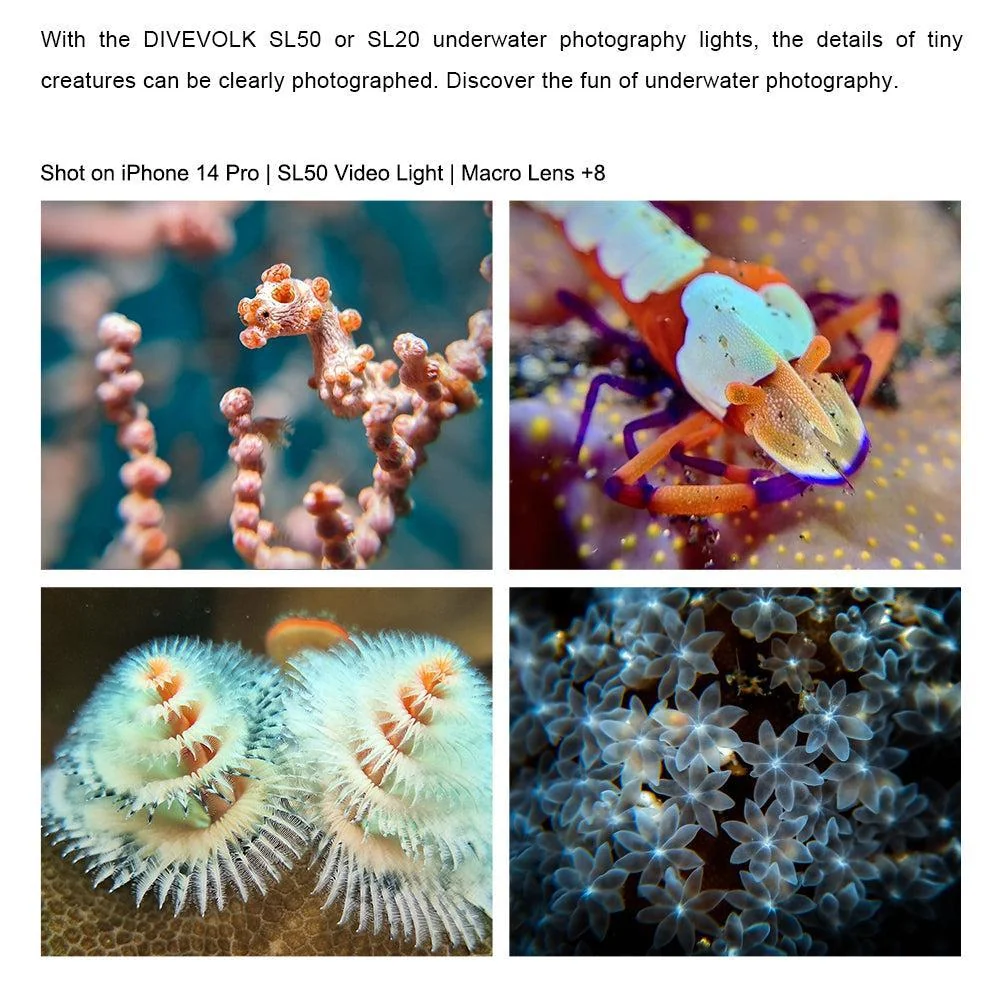 DiveVolk Underwater +8 Macro Close-up Lens for Seatouch 4 Max Housing – 67mm Optical Wet Lens - Image 3