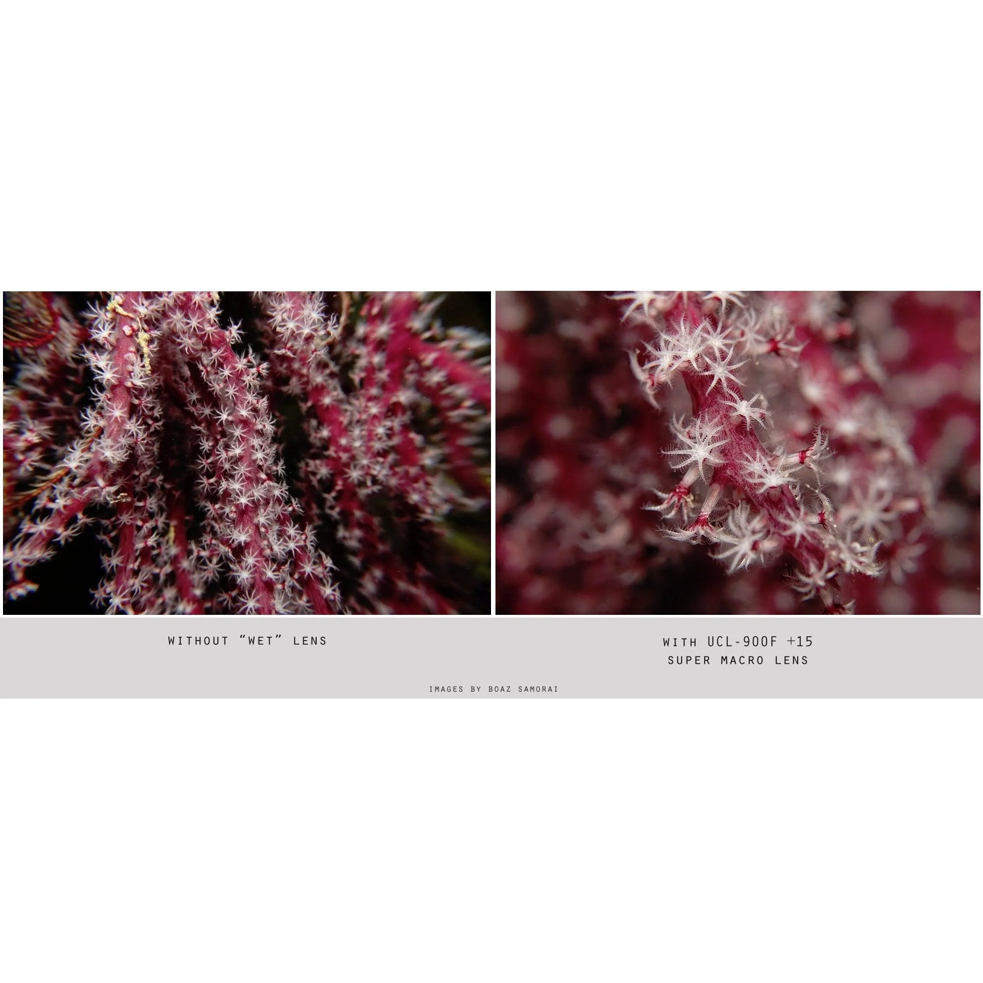 Fantasea UCL-900F +15 Super Macro Lens - Image 2