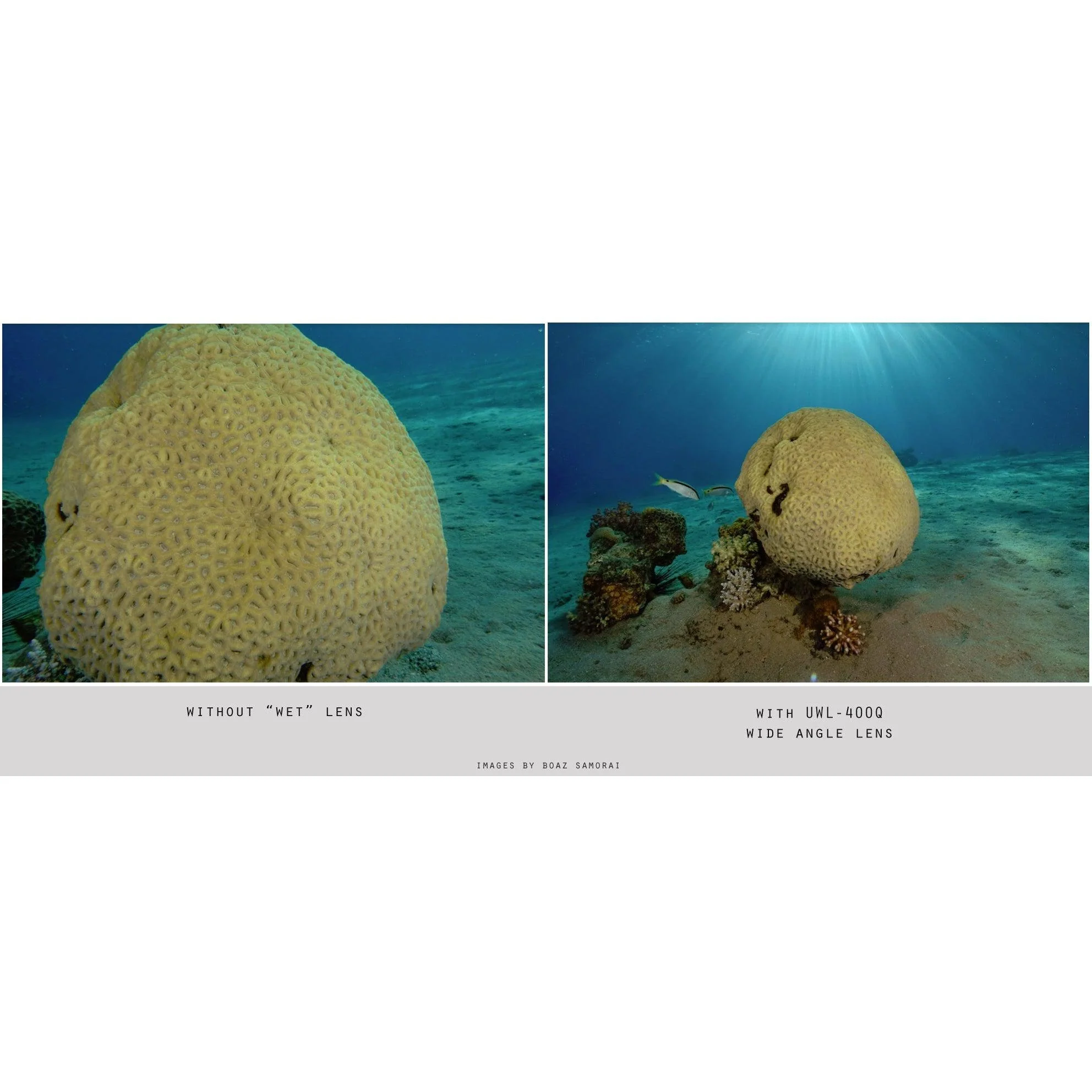 Fantasea UWL-400Q Wide Angle Lens - Image 2