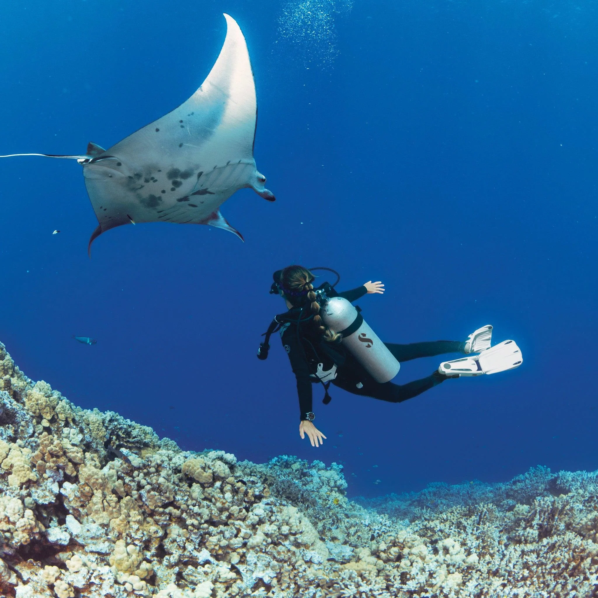 Scubapro Seawing Supernova Fins Package - Image 18