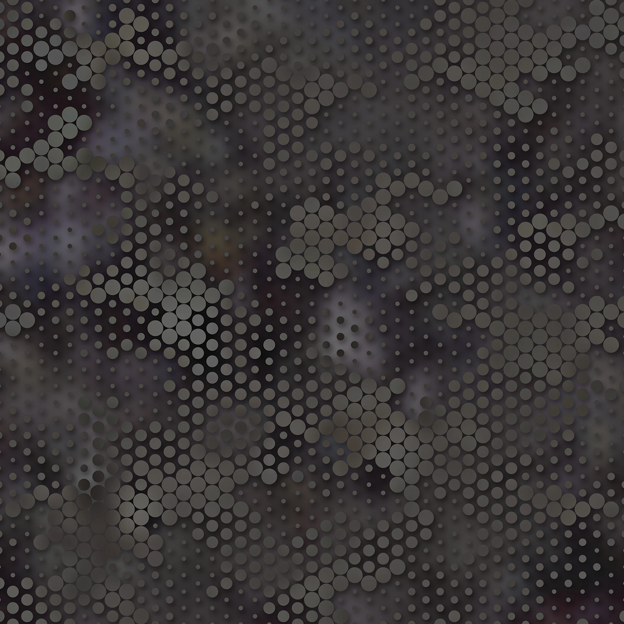 SEAC SNAKE JACKET+PANT LADY 5MM - Image 7