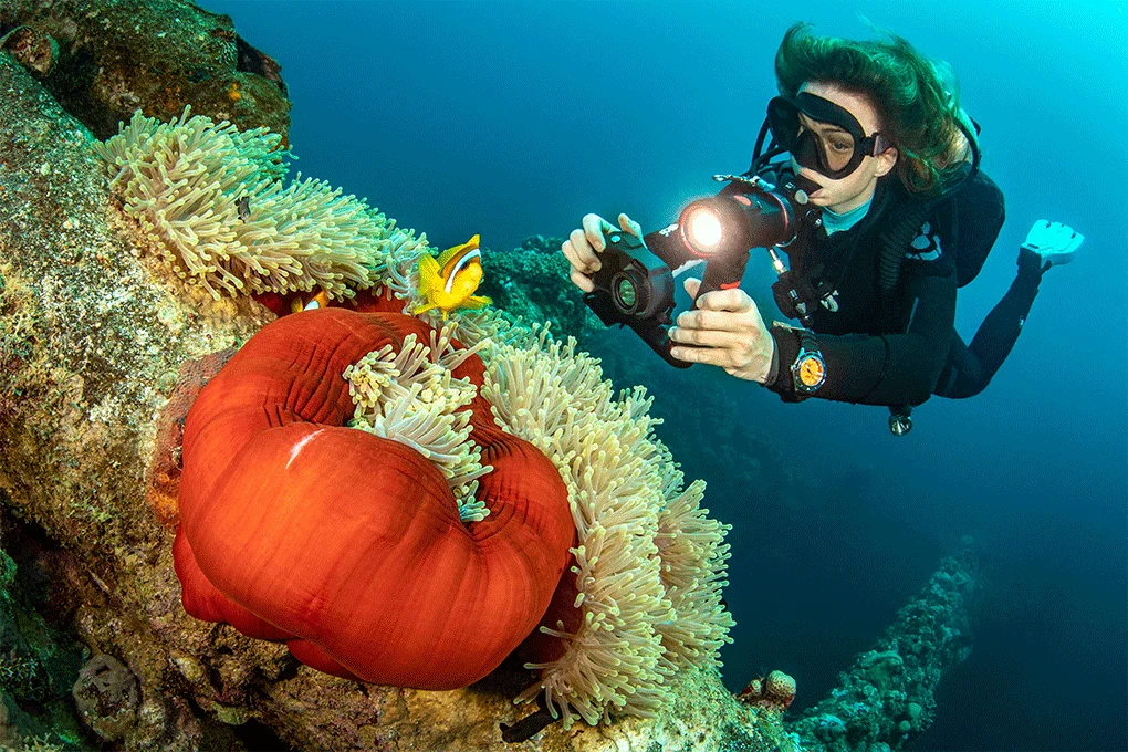 Sealife Micro 3.0 Pro 3000 Color Boost Set - Image 9