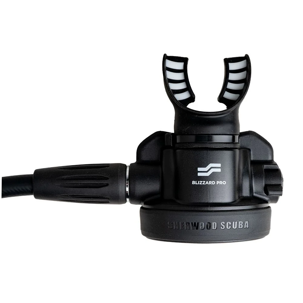 Sherwood Blizzard Pro Regulator - Image 5