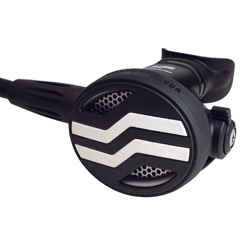Sherwood Magnum Pro Regulator - Image 5